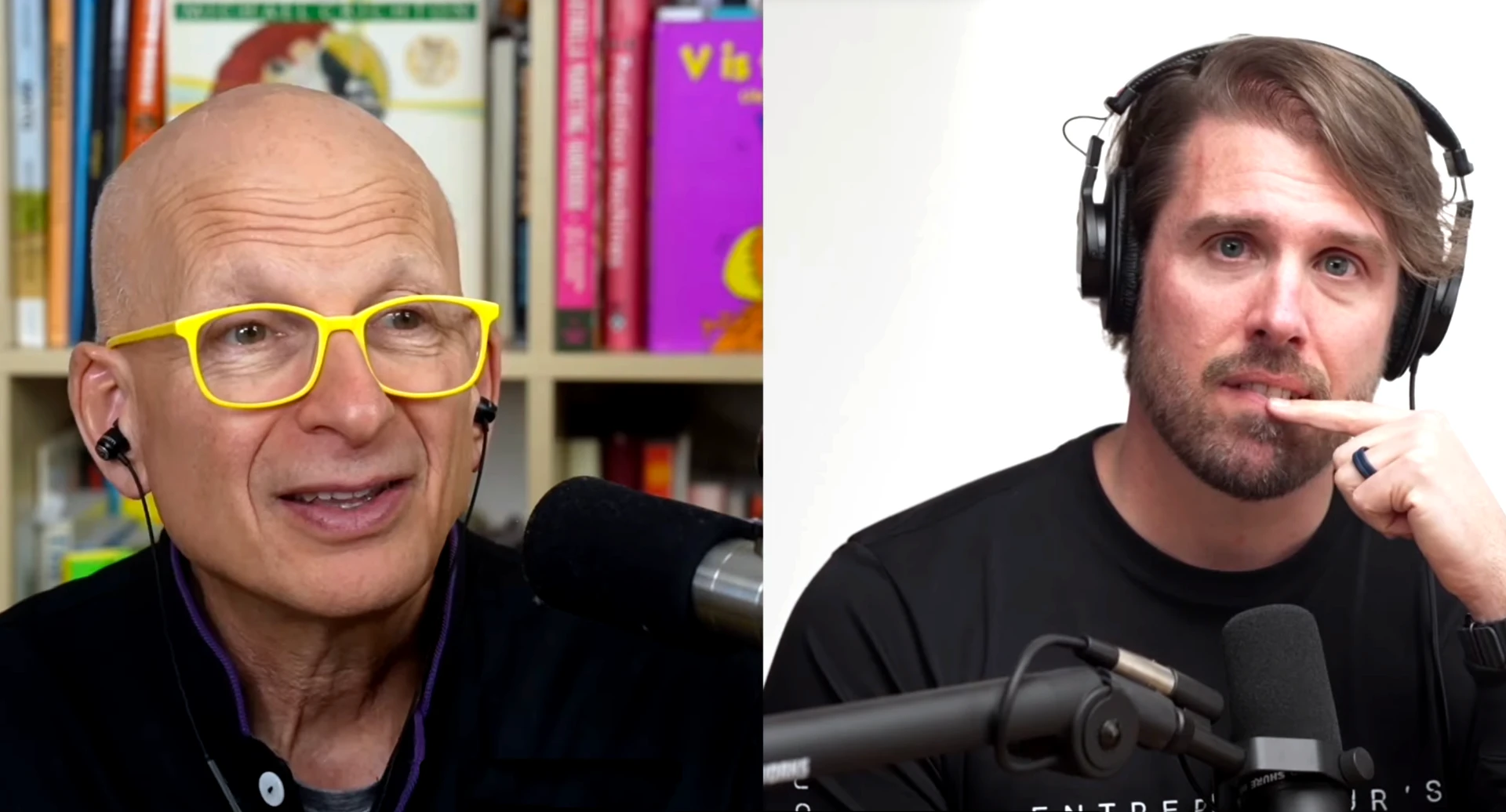 Split-screen virtual interview with Seth Godin